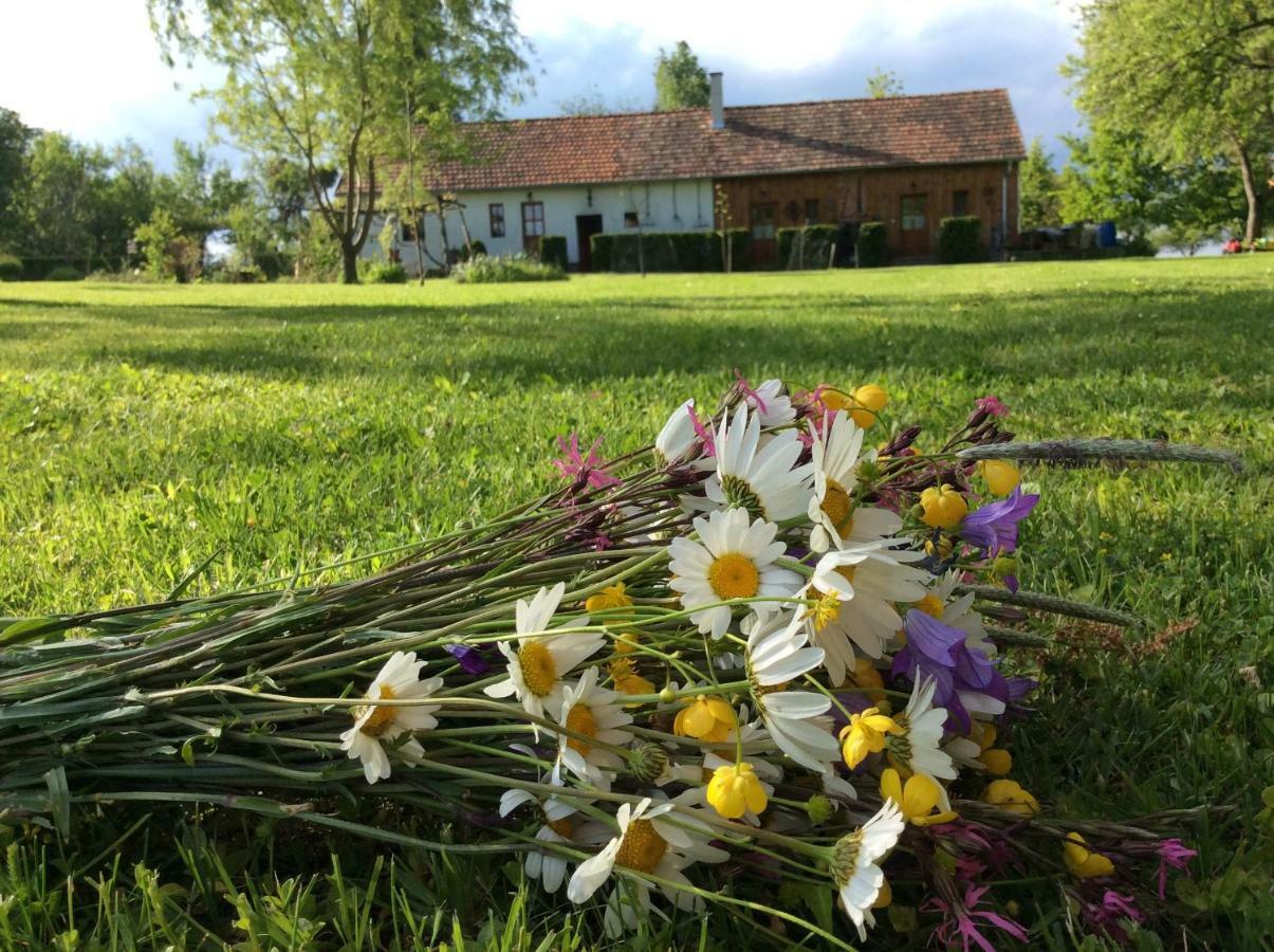Maison d'hôtes Cseri Porta Szalafő